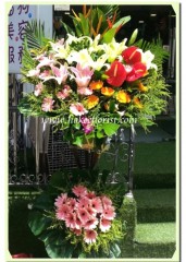 H401-雙層系列(橙鳥,紅掌,百合)