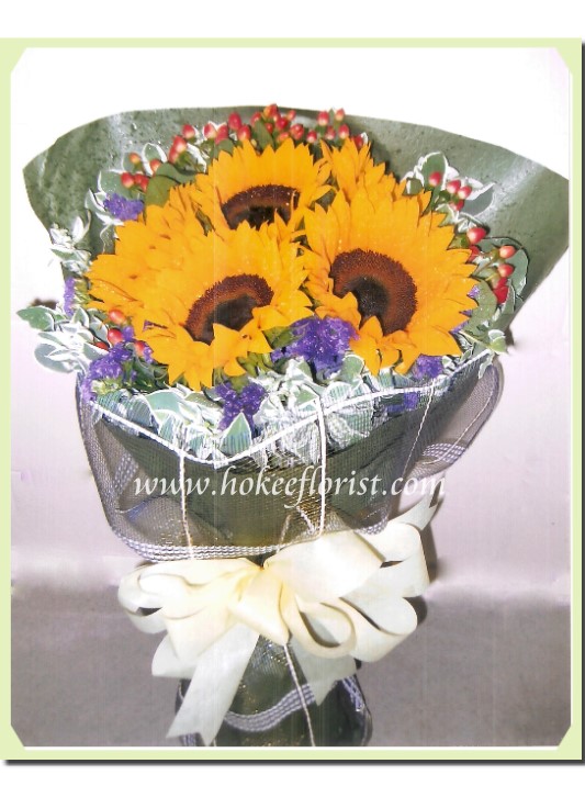 bs007-5-.jpg