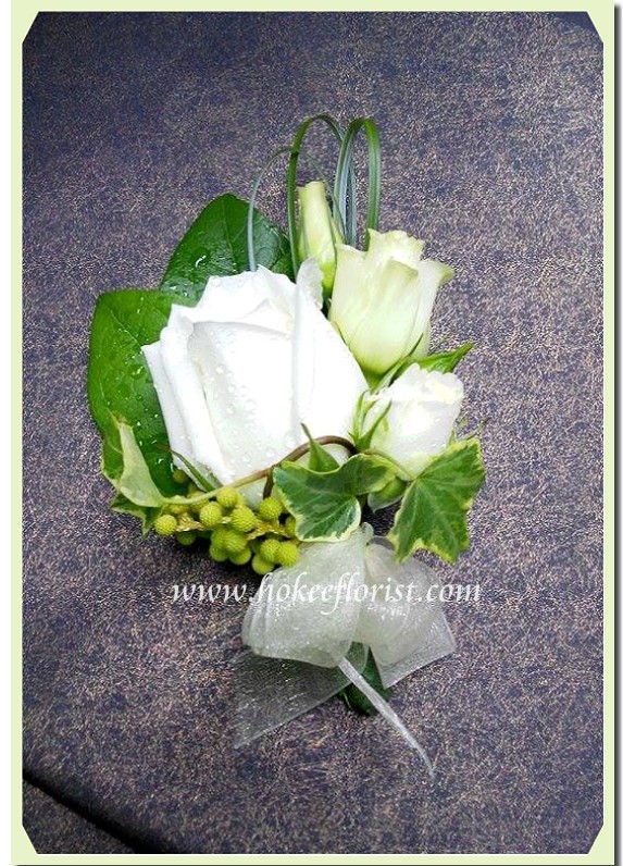 r001-ivy-.jpg