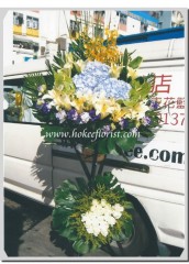 F701-悼念花籃(繡球,跳舞蘭)