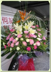 H110-天堂鳥系列(黃百合,太陽花)